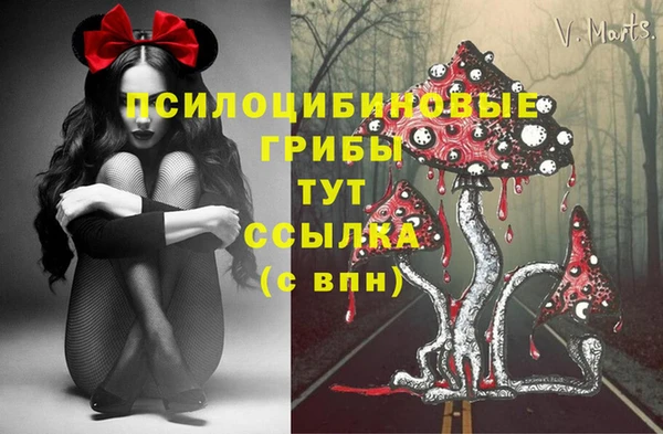 дживик Заволжье