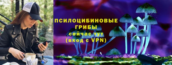 дживик Заволжье