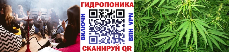 МАРИХУАНА сатива  Кисловодск 